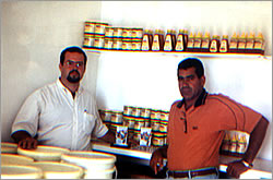 Municpio produz melhor mel da Bahia