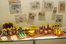Sebrae promove reunio nacional de gestores em apicultura